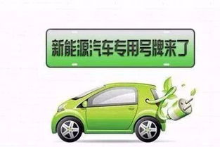 東營新能源號牌26日正式啟動，專用汽車可選號段公布